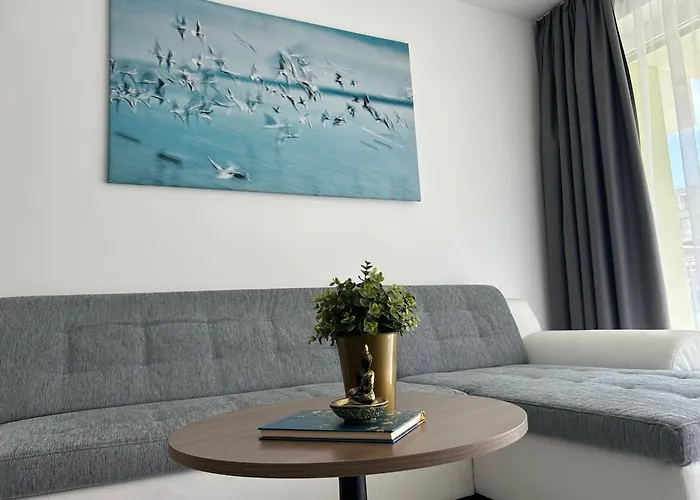 Dingi 104 * 希欧福克