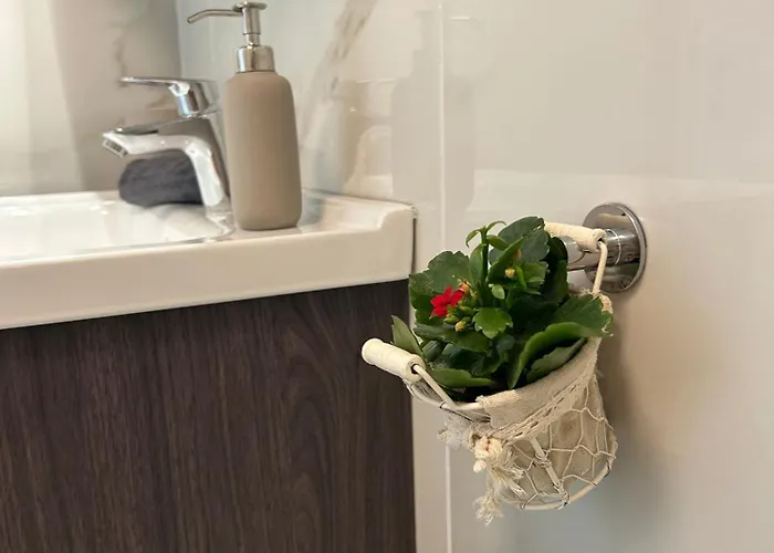 Dingi 104 希欧福克